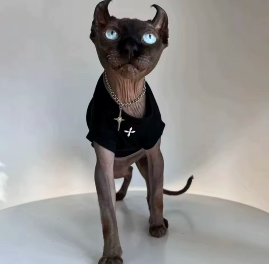 SALE Cross Sphynx Cat T-shirt Black - M