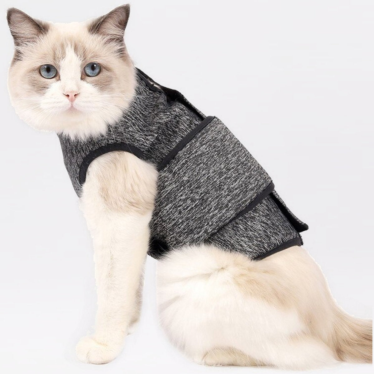 Cat Post-Surgery Adjustable Recovery & Anti-Anxiety Suit