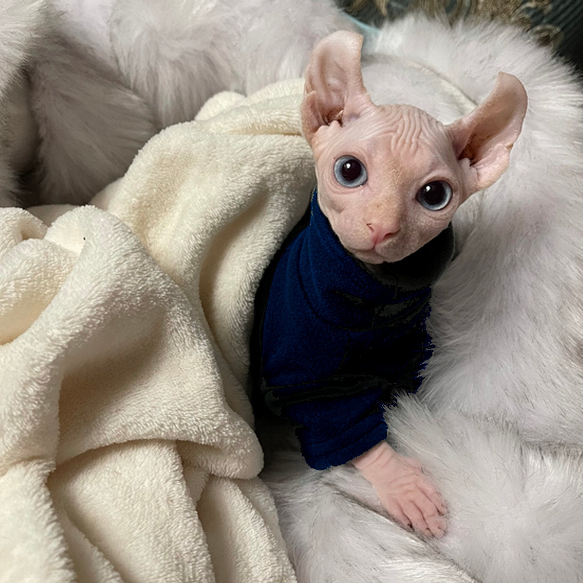 Polaire Thermique Sphynx Cat - Vert