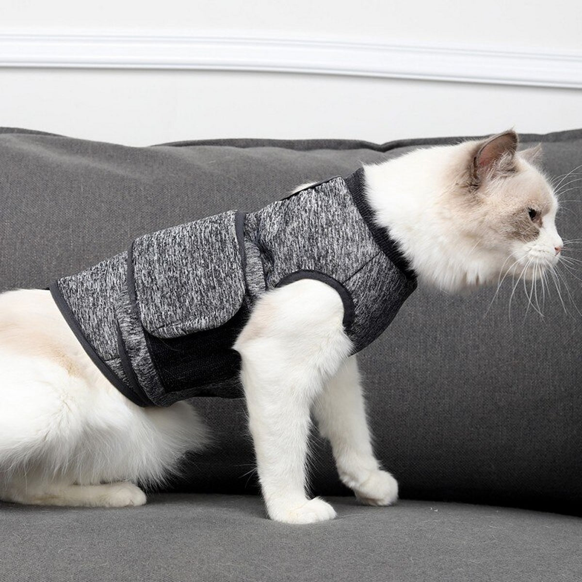 Cat Post-Surgery Adjustable Recovery Suit Cat Vests | Clothes for Cats