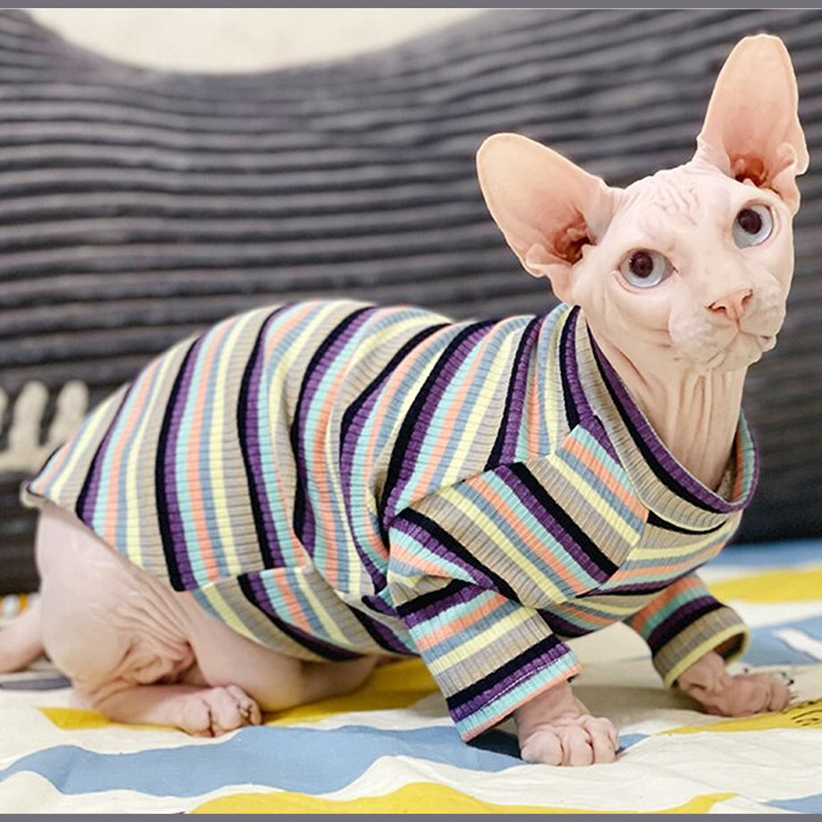 Sphynx Cat Striped T-shirt - Green Cat T-shirts | Clothes for Cats