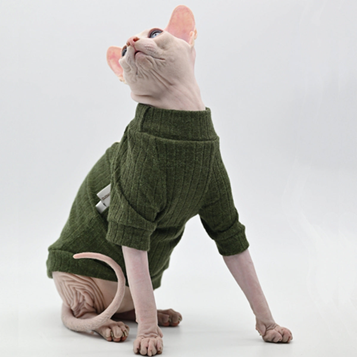 Sphynx Cat Ribbed Stretch Knit - Green Cat Jumpers | Clothes for Cats